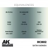 AK INTERACTIVE RC802