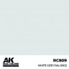 AK INTERACTIVE RC809