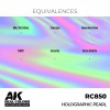AK INTERACTIVE RC850