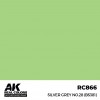 AK INTERACTIVE RC866