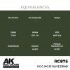 AK INTERACTIVE RC875
