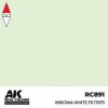 AK INTERACTIVE RC891