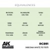 AK INTERACTIVE RC891