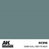 AK INTERACTIVE RC916
