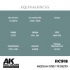 AK INTERACTIVE RC918