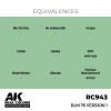 AK INTERACTIVE RC943