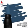 AK INTERACTIVE RCM006