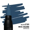 AK INTERACTIVE RCM006