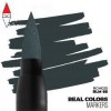 AK INTERACTIVE RCM025
