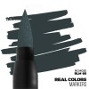 AK INTERACTIVE RCM025