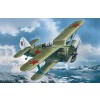ICM 48095