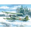 ICM 48251