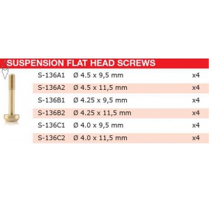 , , , BRM MODEL CARS SUSPENSION BRASS SCREW M2 FLAT HEAD 4.25MM X 9.5MM SHORT (X4)
