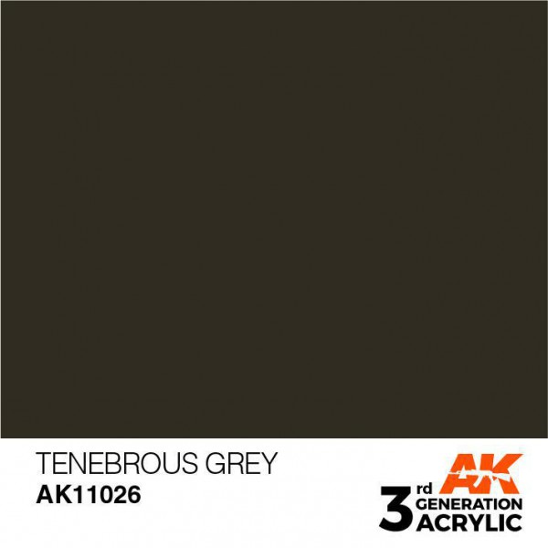 AK INTERACTIVE AK11026