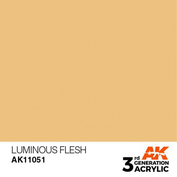 AK INTERACTIVE AK11051