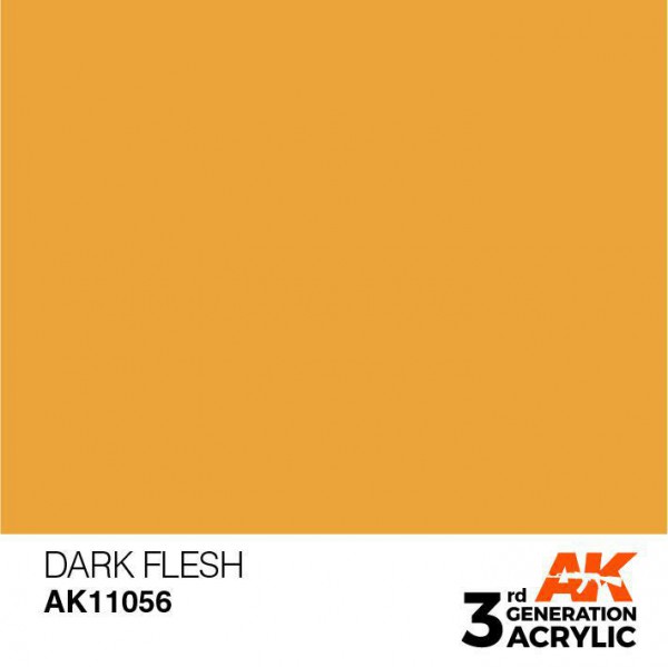AK INTERACTIVE AK11056