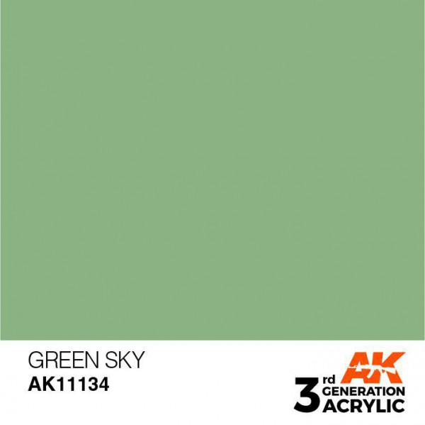 AK INTERACTIVE AK11134