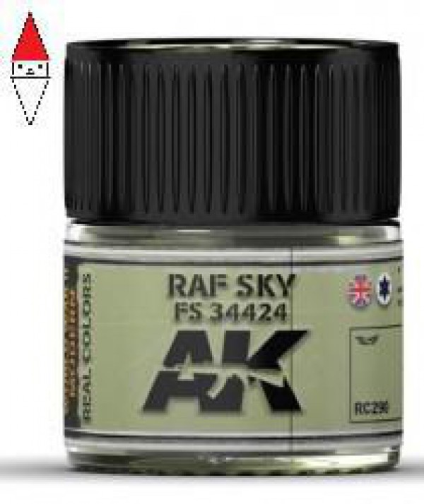 AK INTERACTIVE RC290