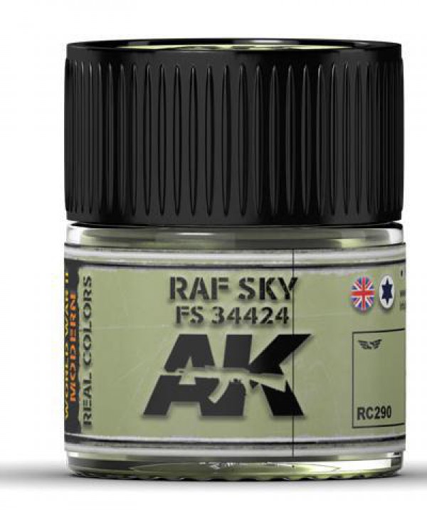 AK INTERACTIVE RC290