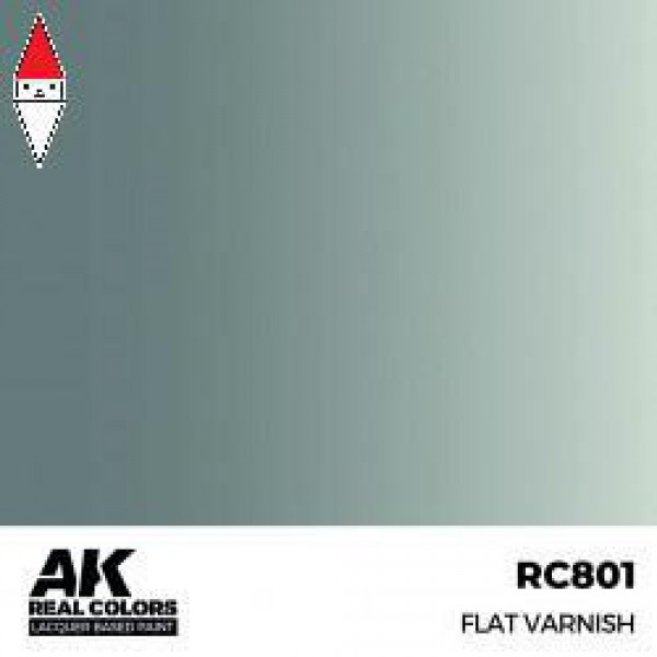 AK INTERACTIVE RC801
