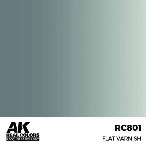 AK INTERACTIVE RC801