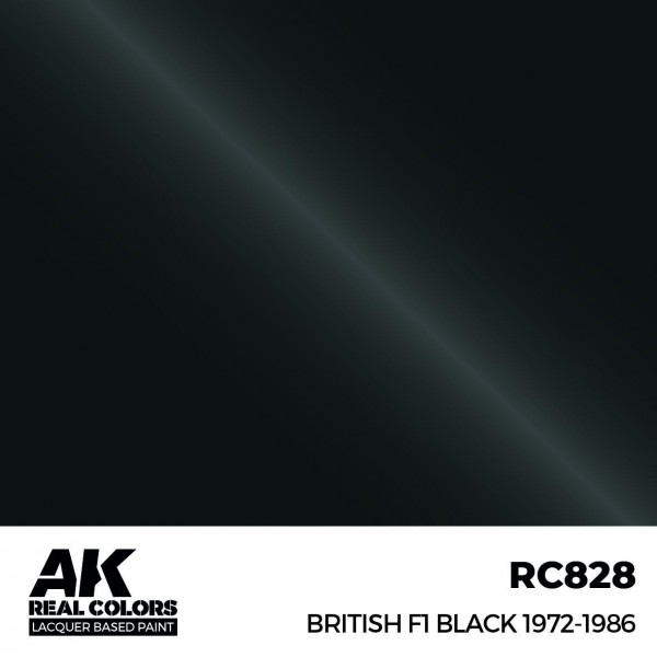 AK INTERACTIVE RC828