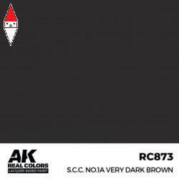 AK INTERACTIVE RC873