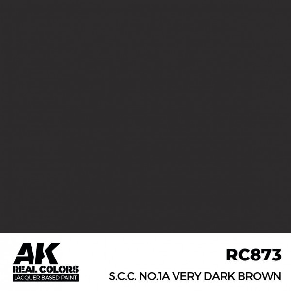 AK INTERACTIVE RC873