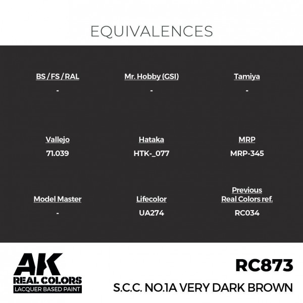 AK INTERACTIVE RC873