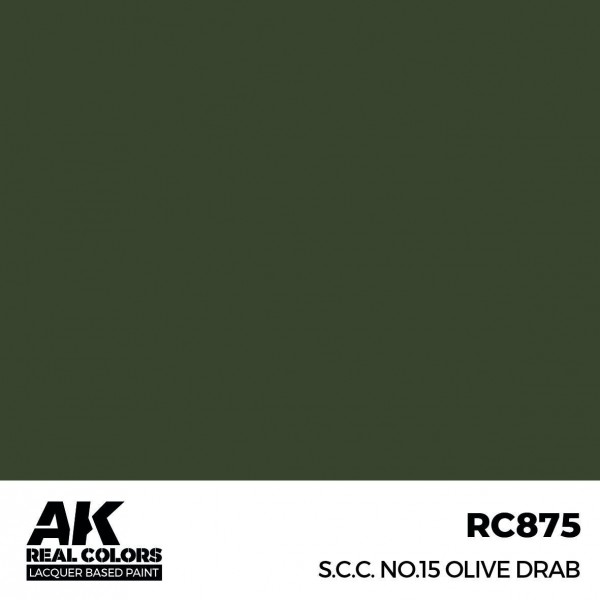 AK INTERACTIVE RC875
