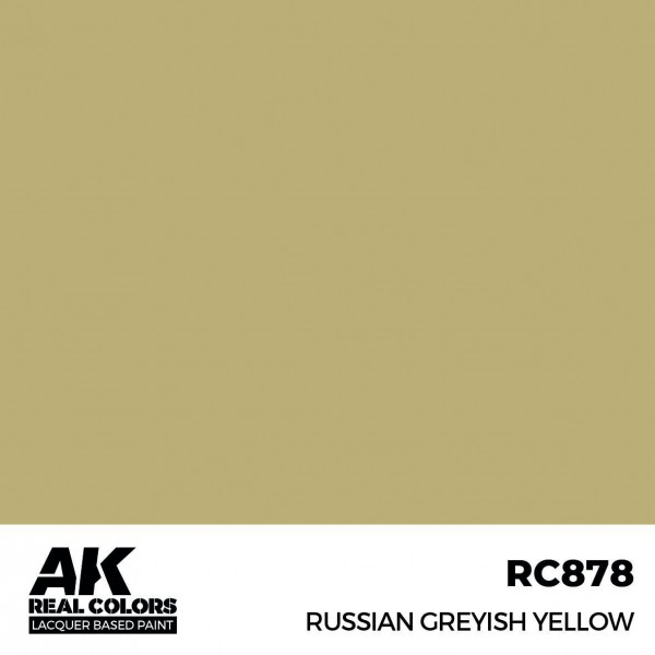AK INTERACTIVE RC878