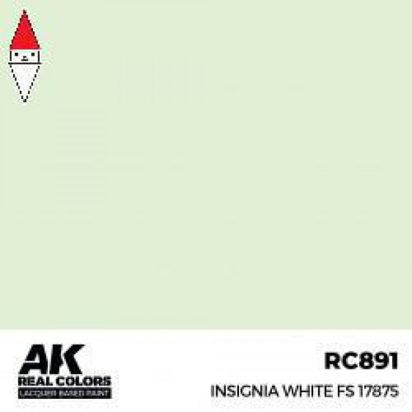 AK INTERACTIVE RC891