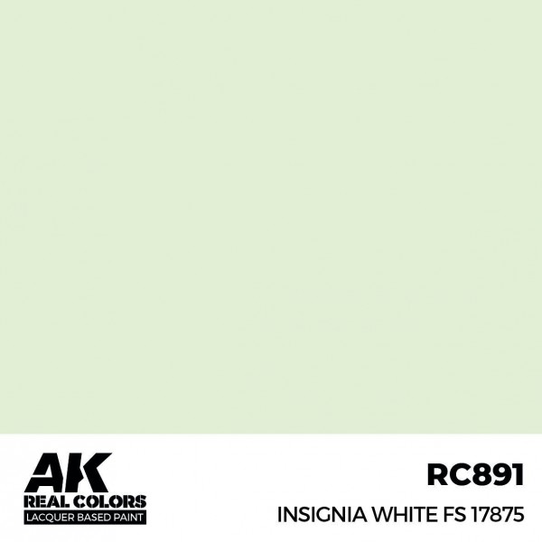 AK INTERACTIVE RC891