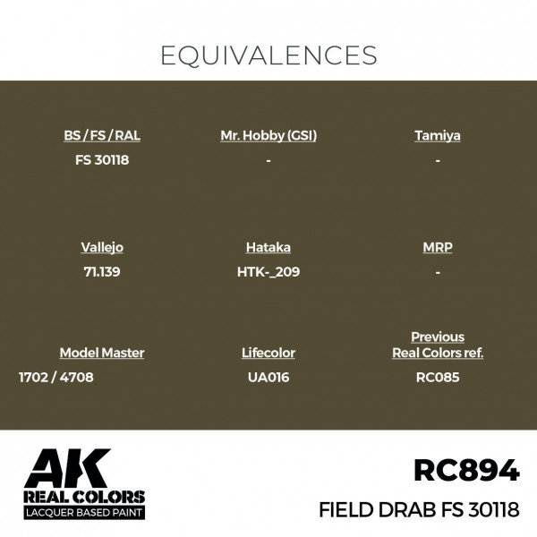 AK INTERACTIVE RC894