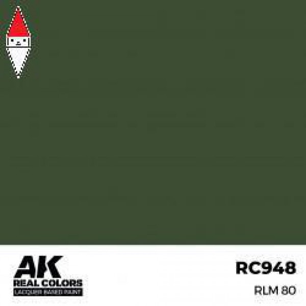 AK INTERACTIVE RC948