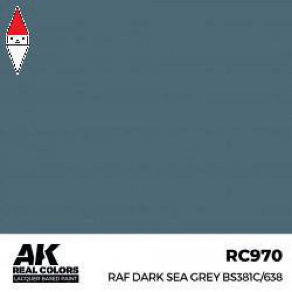 AK INTERACTIVE RC970