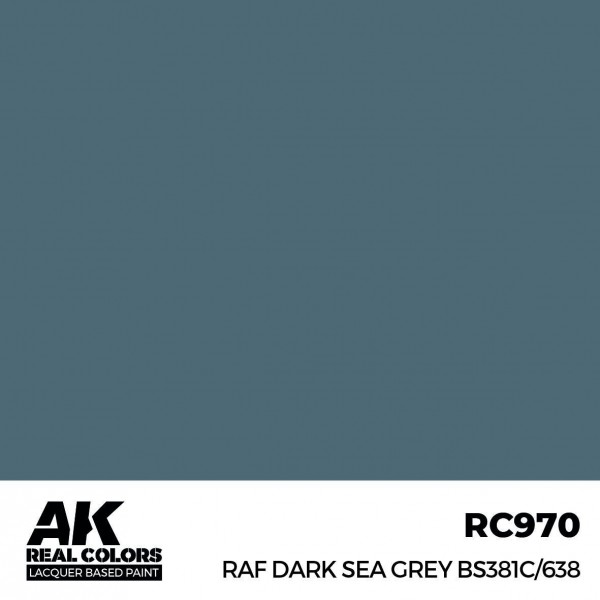 AK INTERACTIVE RC970