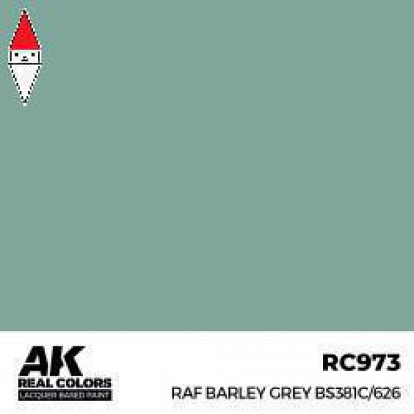 AK INTERACTIVE RC973