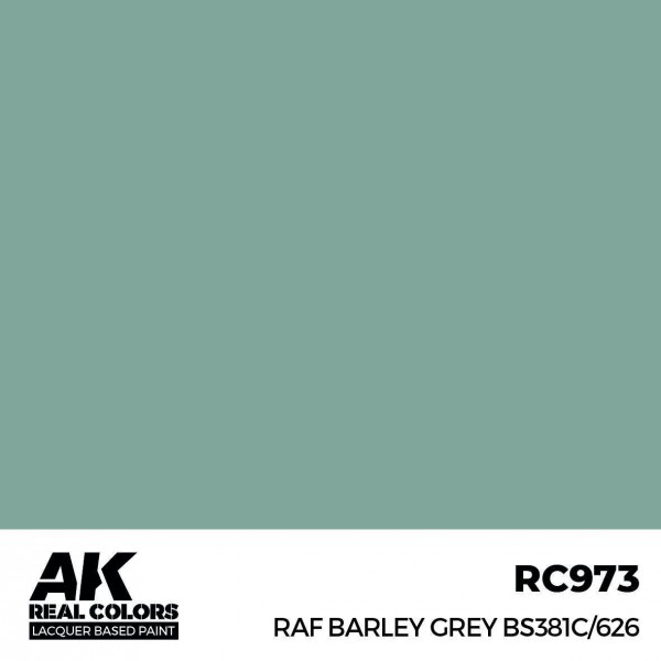 AK INTERACTIVE RC973