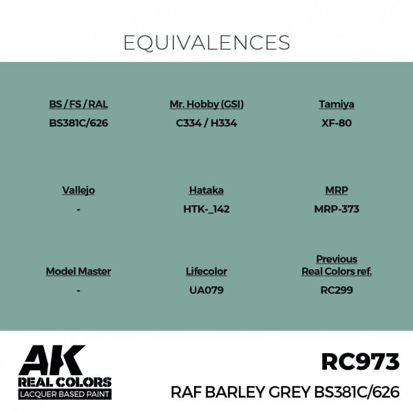 AK INTERACTIVE RC973