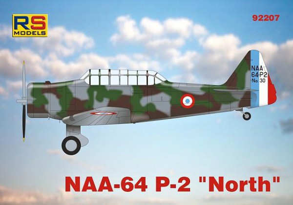RS MODELS 92207