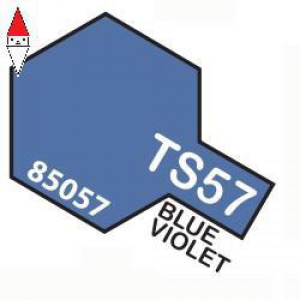 TAMIYA TS57